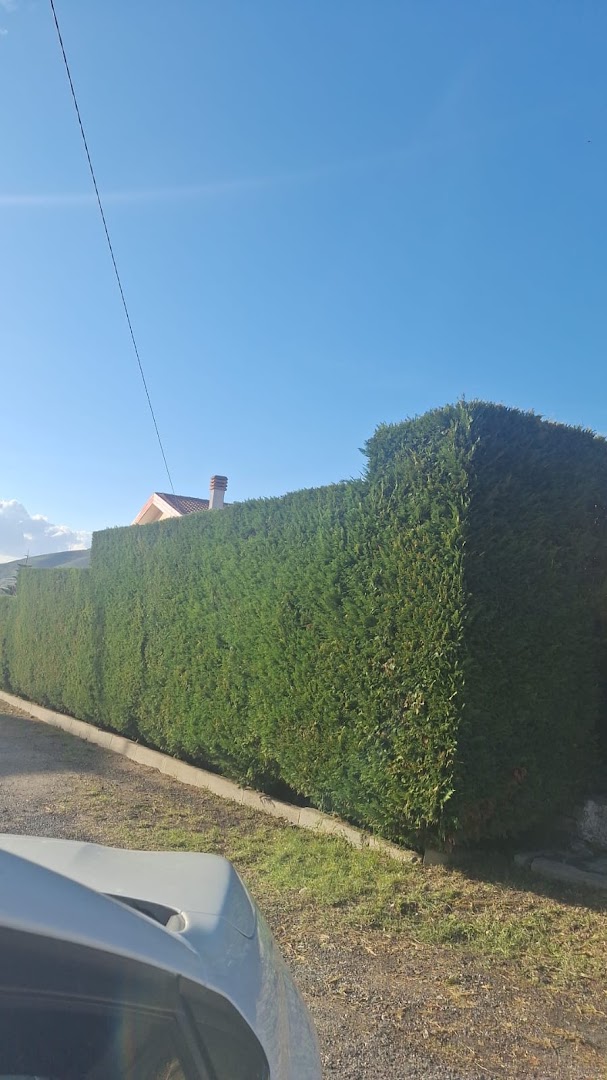Angy Multiservice — Foto 4